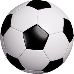 8770688:COM-WWW:8770688:COM